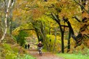 Autumn Exercise