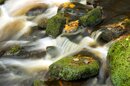 Autumn Stream