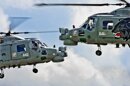 Close encounter of the Lynx Display Team